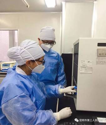 深入解析 結核病基因及耐藥檢測技術Xpert MTB/RIF的研發歷程與應用前景